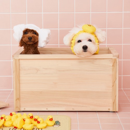 가정용 강아지 히노끼욕조 편백나무스파 고양이목욕 애견목욕 히히노끼 욕조